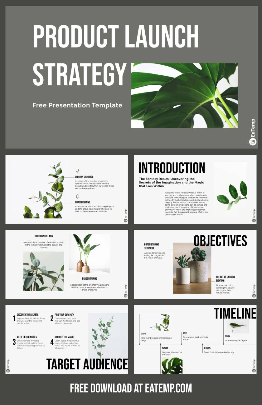 Product Launch Strategy PPT Presentation Template