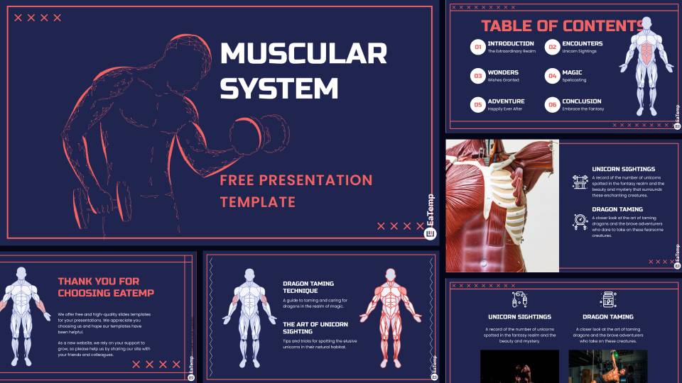 Muscular System PowerPoint Presentation Template & Google Slides Theme
