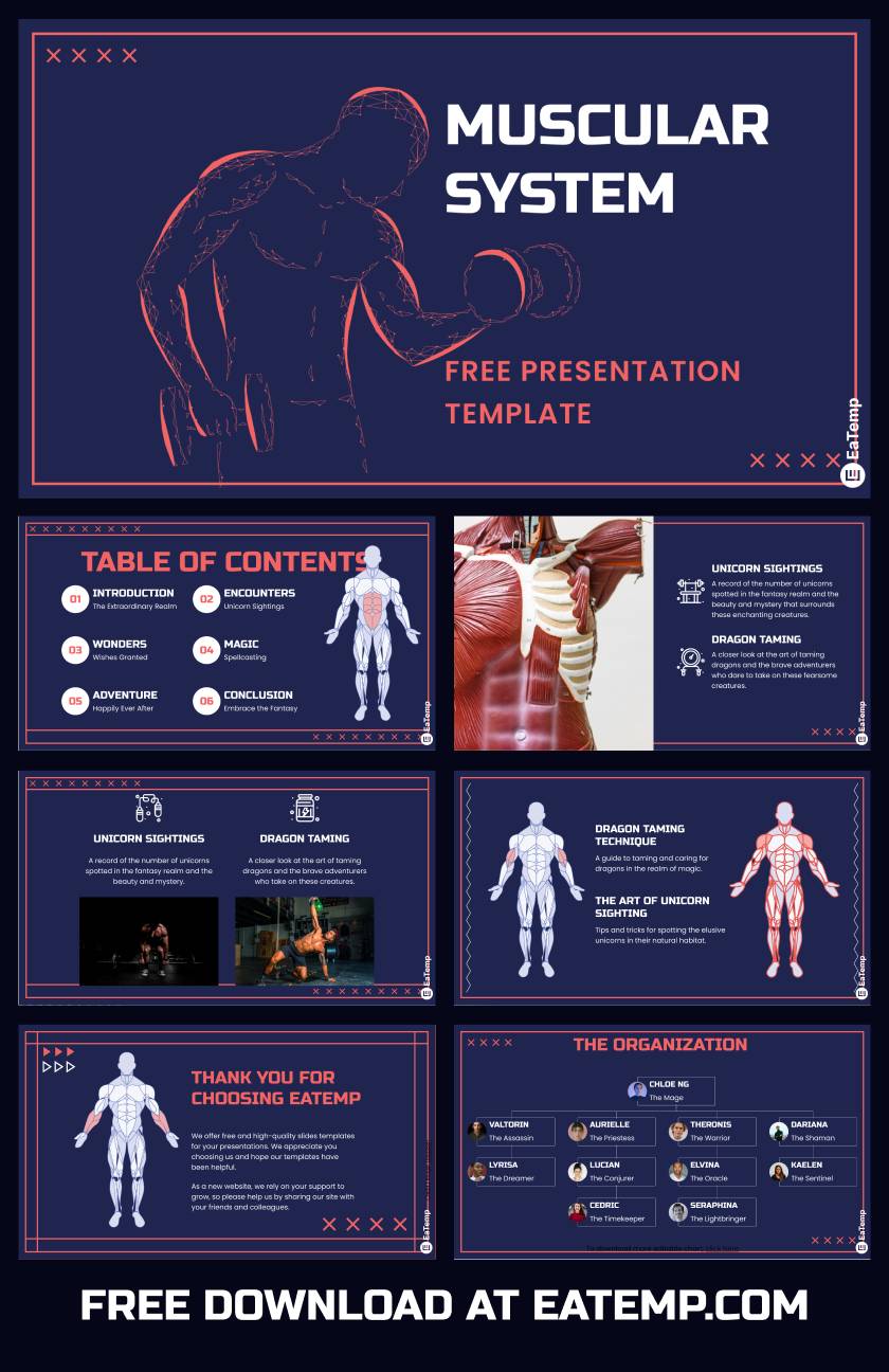 Muscular System PowerPoint Presentation Template
