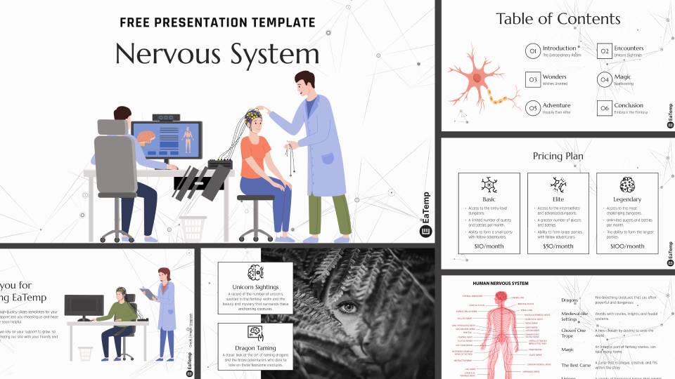 Nervous System PowerPoint Presentation Template & Google Slides Theme