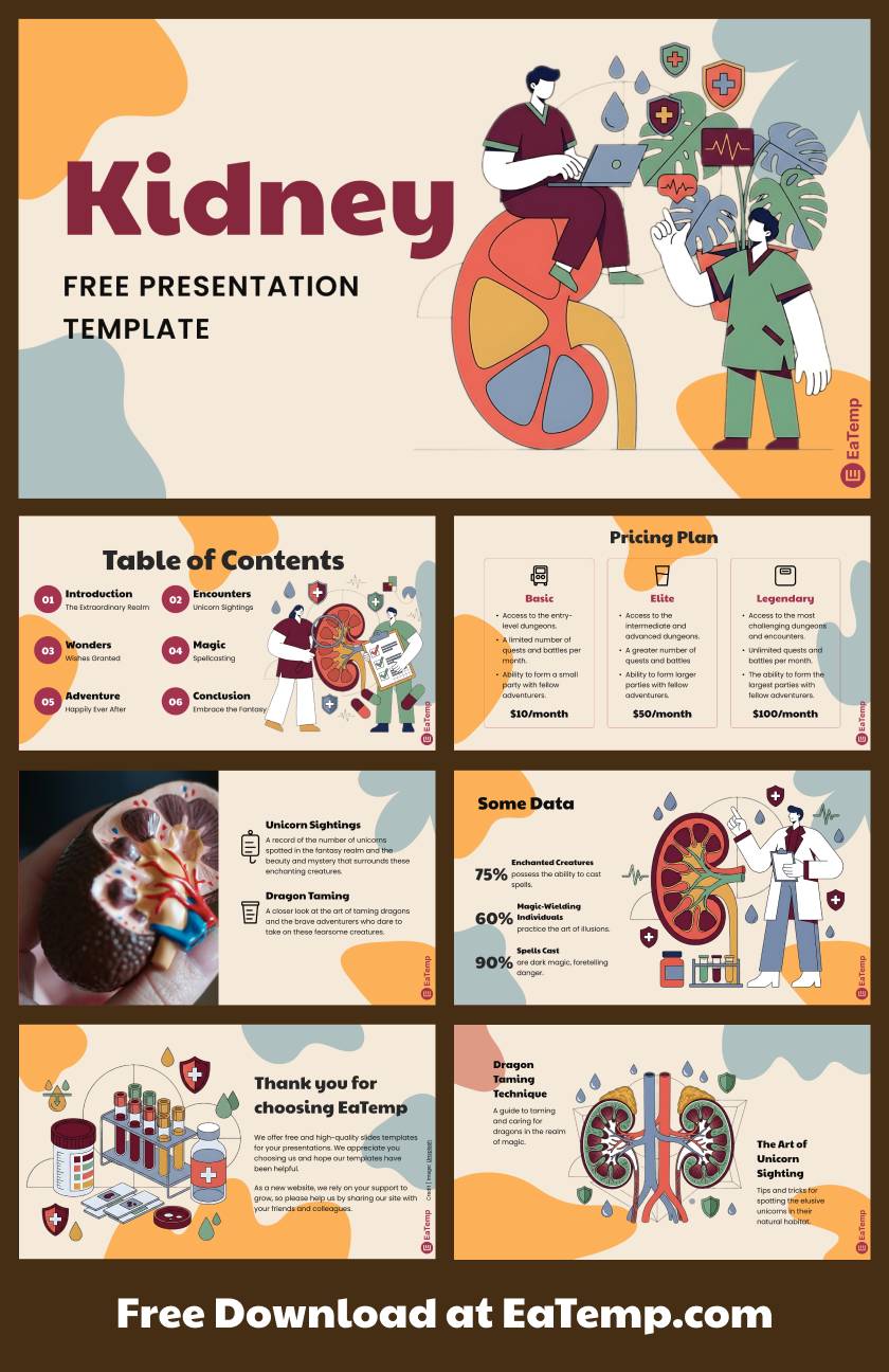 Kidney 13 Kidney PowerPoint Presentation Template