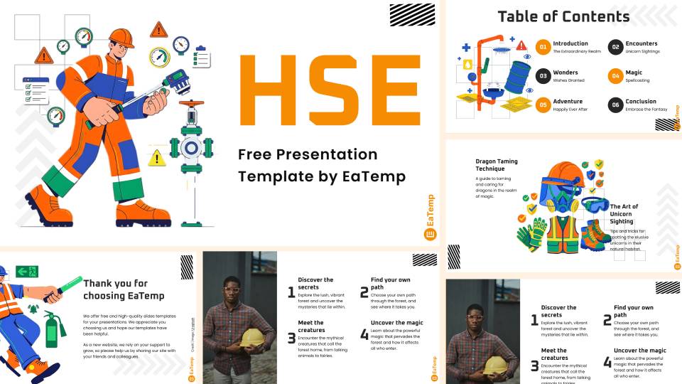 HSE 21 HSE