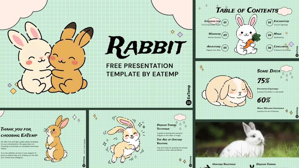 Rabbit 13 Rabbit