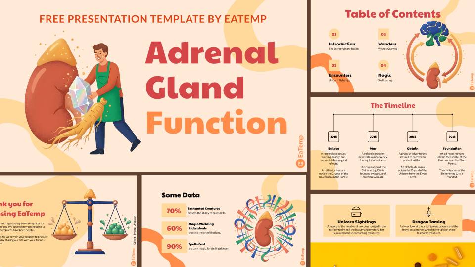 Adrenal Gland Function PPT Presentation Template and Google Slides Theme