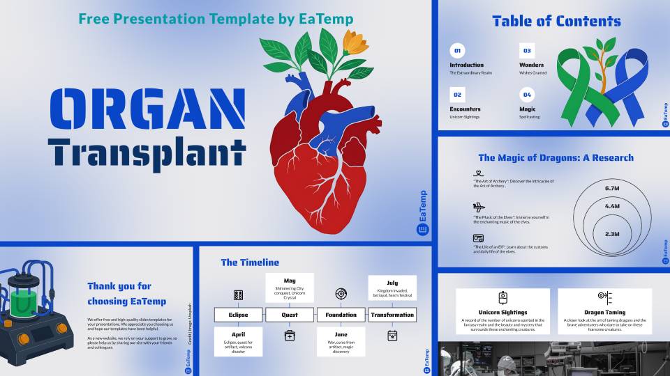 Organ Transplant 24 Organ Transplant