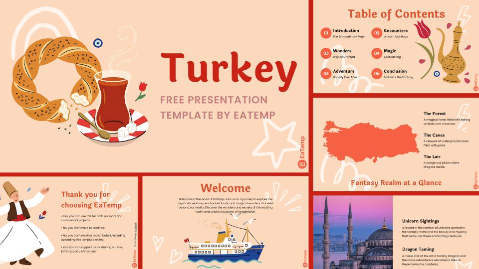 Turkey 3 Turkey